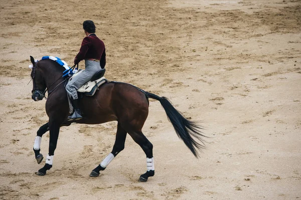 A Corrida. Matador és egy tipikus spanyol bikaviadal a harci ló — Stock Fotó