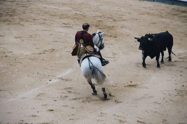 Коррида. Матадор и лошадь во время типичной испанской корриды — стоковое фото