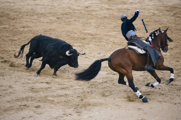 Corrida. Matador e cavalo Lutando em uma típica tourada espanhola — Fotografia de Stock