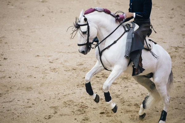 A Corrida. Matador és egy tipikus spanyol bikaviadal a harci ló — Stock Fotó