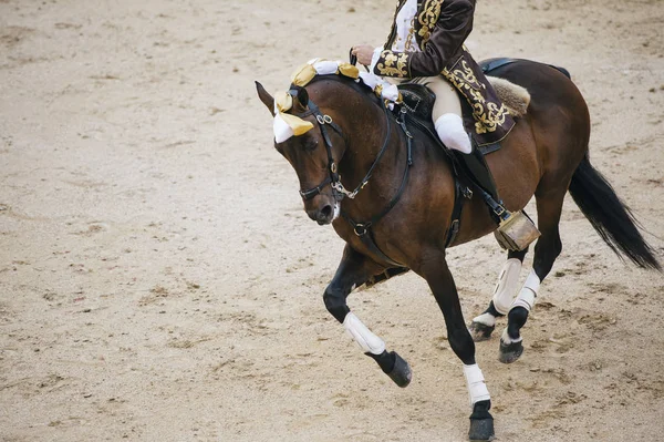 A Corrida. Matador és egy tipikus spanyol bikaviadal a harci ló — Stock Fotó