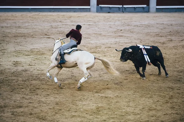 コリーダ。マタドールと馬の典型的なスペイン闘牛での戦い — ストック写真