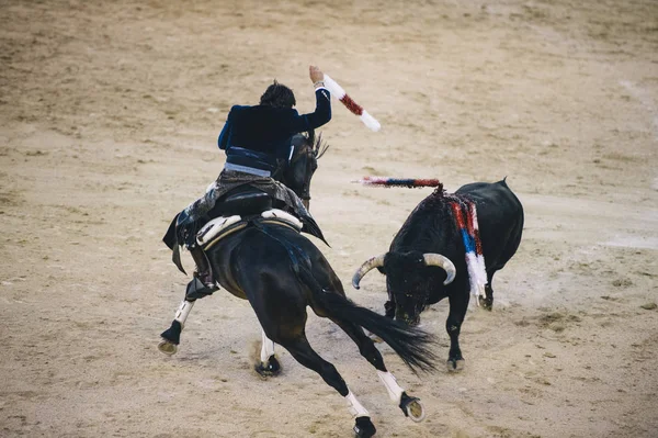 Corrida. Matador ve mücadele içinde tipik bir İspanyol boğa güreşi at
