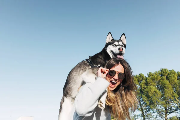 Siberian Husky cane posa sull'uomo della bella donna bionda . — Foto Stock