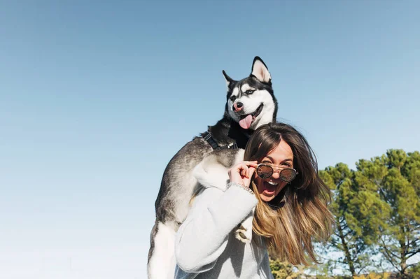 Siberian Husky cane posa sull'uomo della bella donna bionda . — Foto Stock