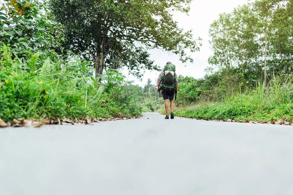 Homem Nômade Digital Caminhando Pela Estrada Floresta — Fotografia de Stock