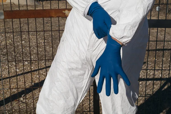Desinfectie Personeel Zet Latex Handschoenen Aan — Stockfoto