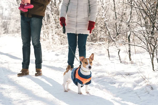 Семейная прогулка с милой собакой — стоковое фото