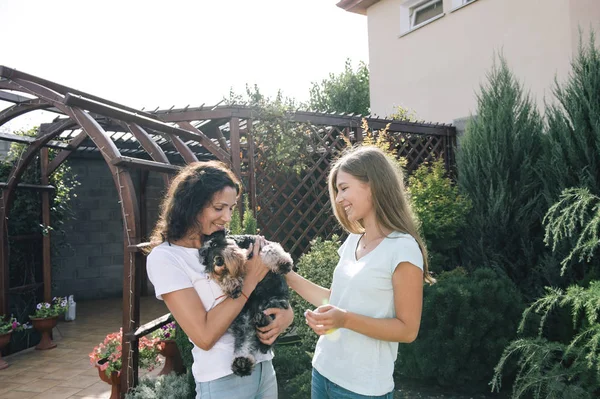 Hermosa Madre Con Hijas Adolescentes Jugando Con Perro Mascota Jardín Imágenes de stock libres de derechos