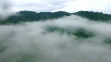 Clounds üzerinde yağmur görüntüleri sonra sinek.