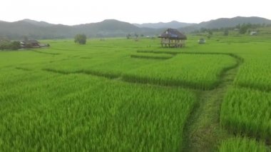 Pirinç Teras ve bambu kulübe mae hong oğlu Aeria görüntüleri.