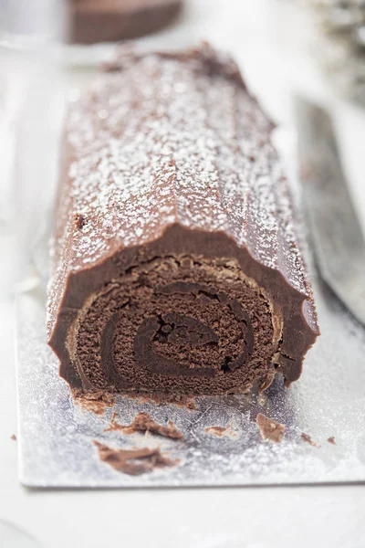 Chocolate yule with icing sugar — Stock Photo, Image