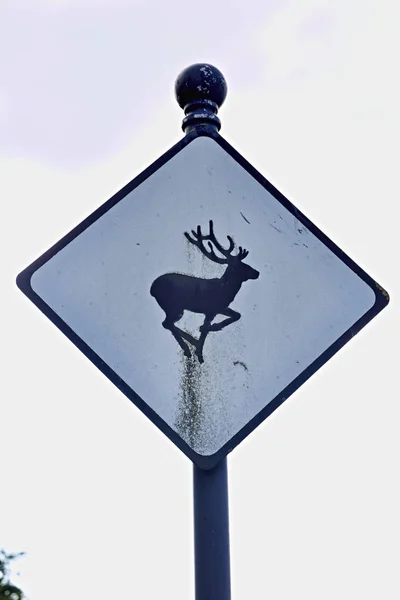 Road warning sign for deer