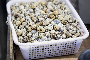 Bıldırcın yumurtası beyaz kap içinde 