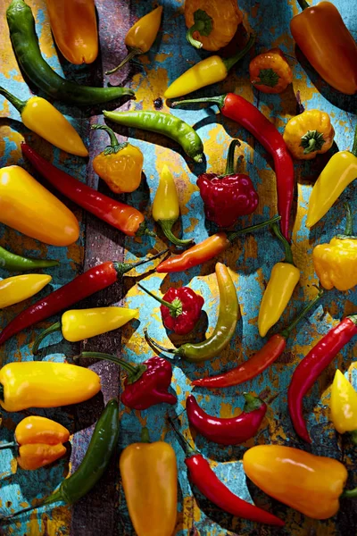 Pimientos verdes, rojos, amarillos y anaranjados sobre fondo azul Imagen De Stock