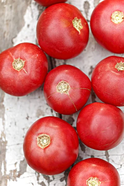 Tomatoes on the farm — Stock Photo, Image