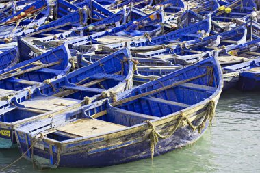 Mavi tekneleri balıkçı köyü, Essaouira, Morocco