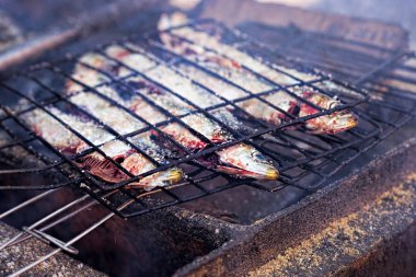 Barbekü üzerinde ham sardalya 