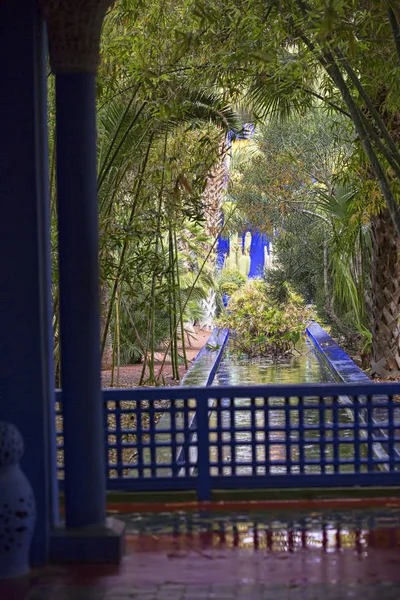 Majorelle сад Марракеш Марокко Лицензионные Стоковые Изображения