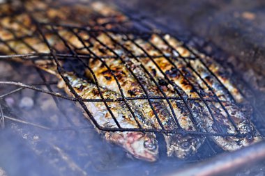 Sardalye ızgara üzerinde