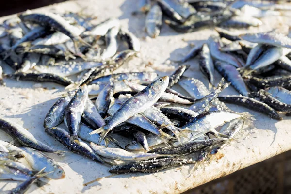 Sardientjes op de vismarkt — Stockfoto