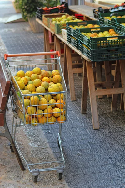 Metal trolley filled with citrus fruits next to grocery store — Stock Photo, Image