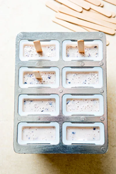 Moldes prontos para congelador com gelado de iogurte de mirtilo picolés — Fotografia de Stock