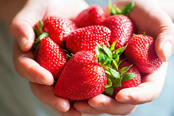 avuç çilek mavi zemin üzerine