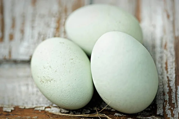 Araucana blue chicken eggs — Stock Photo, Image