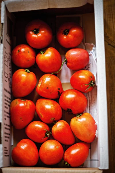 Box of fresh tomatoes from local food producer — Stock Photo, Image