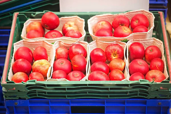 Red apples on paper tray — Stock Photo, Image