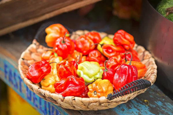 Gorro escocés. Pimientos Bonney. Pimientos caribeños. Expositor de verduras en cesta en el puesto de comida de la calle . —  Fotos de Stock