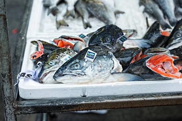 Zalm hoofd op de vismarkt — Stockfoto