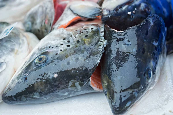 Zalm hoofd op de vismarkt — Stockfoto