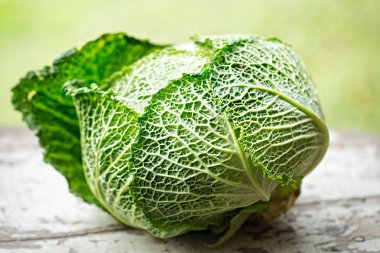 Savoy lahana beyaz arka plan üzerinde 