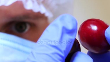 Laboratuar asistanı tarım çiftliğinde laboratuvarda taze kırmızı kiraz denetler