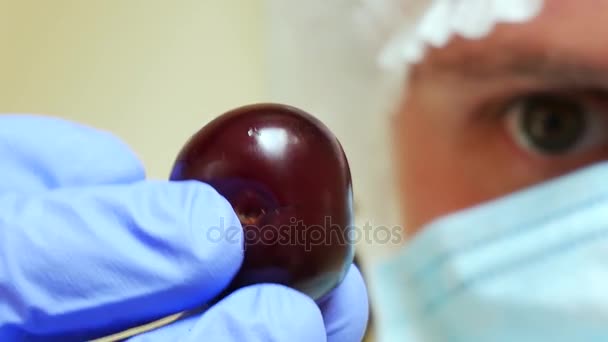 Laboratorium assistent in het laboratorium gecontroleerd Fruit — Stockvideo