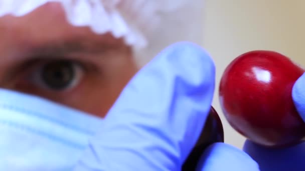 Asistente de Laboratorio en el Laboratorio de la Granja Agraria comprueba cerezas rojas frescas — Vídeos de Stock