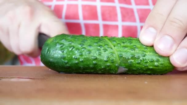Hände geschnittene Gurke im veganen Salat — Stockvideo