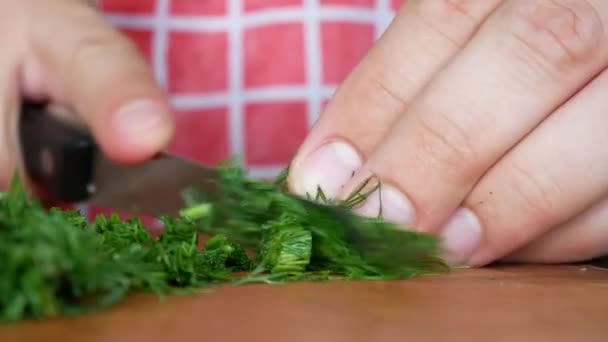 Cutting Dill Or Fennel on Chopping Board With Knife — Stock Video