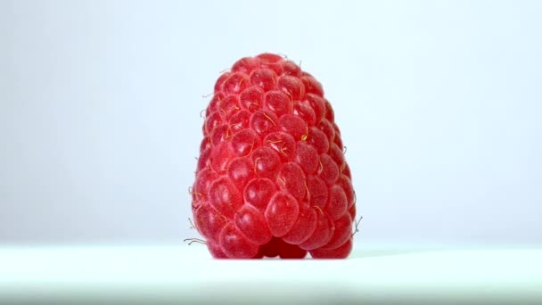 Framboise rouge juteuse mûre tourne sur le fond blanc — Video