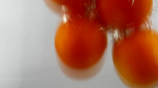 Tomates rouges biologiques fraîches mûres tombant dans l'eau — Video