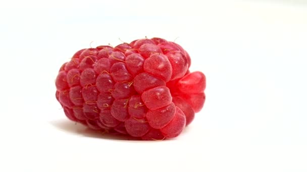 Ripe Juicy Red Raspberry Rotates on the White Background — Stok Video