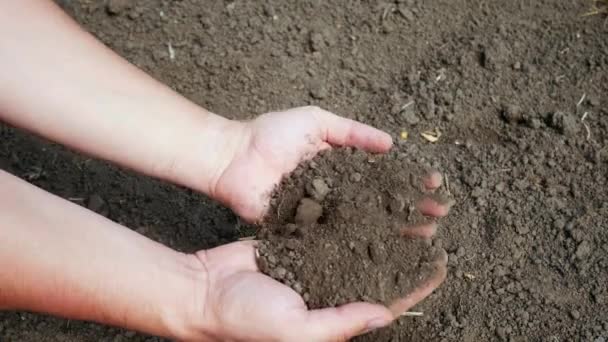 Les mains de l'agriculteur tenant et versant le sol organique — Video