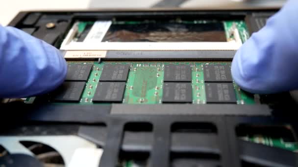 Eller alır ram bellek DIMM defter — Stok video