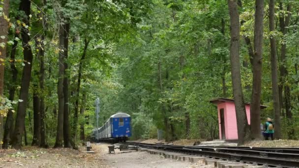 Départ du train bleu sur les rails dans la forêt de feuillus en automne — Video