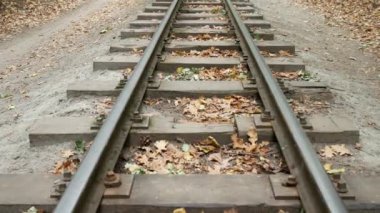 Ormandaki demiryolu raylar