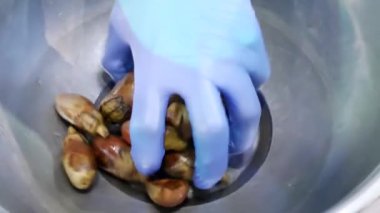 Mavi eldiven aşçılar el Mini bebek patlıcan demir kaseden alır.