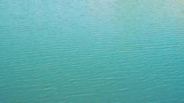 Vagues d'eau verte de surface de miroir 