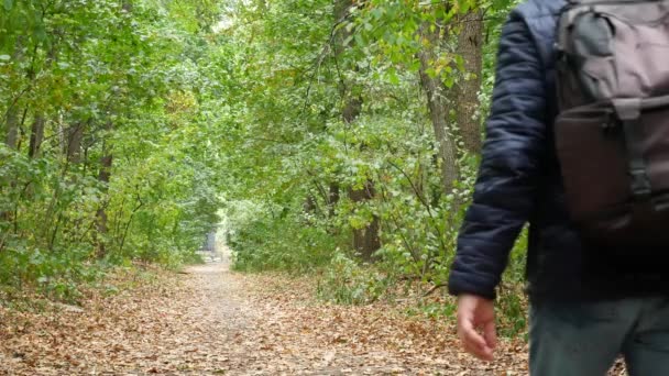 Χαριτωμένος άνθρωπος περπάτημα στο δάσος το φθινόπωρο — Αρχείο Βίντεο